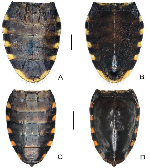 Fig. 8.