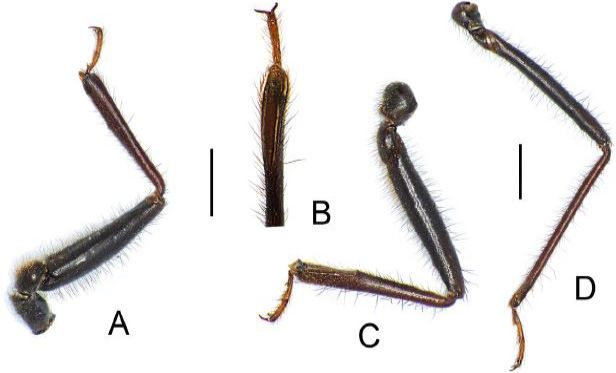 Fig. 15.