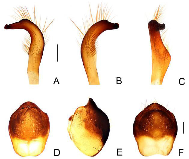 Fig. 9.