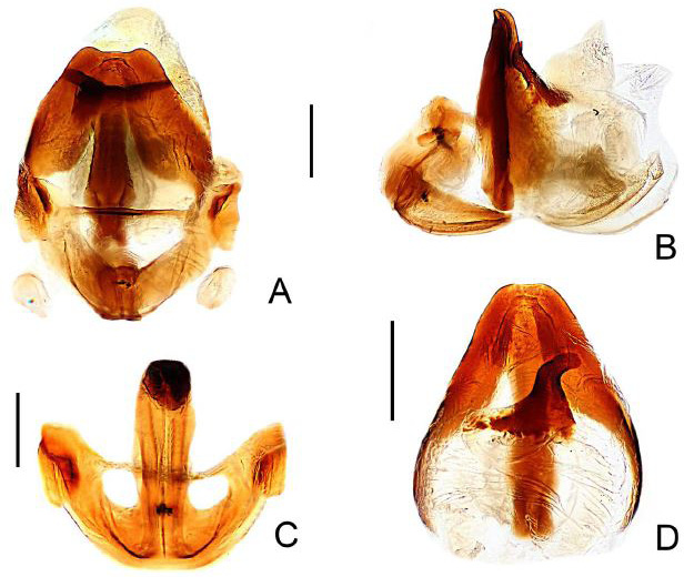 Fig. 10.