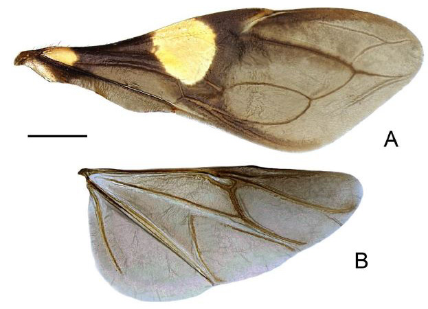 Fig. 7.