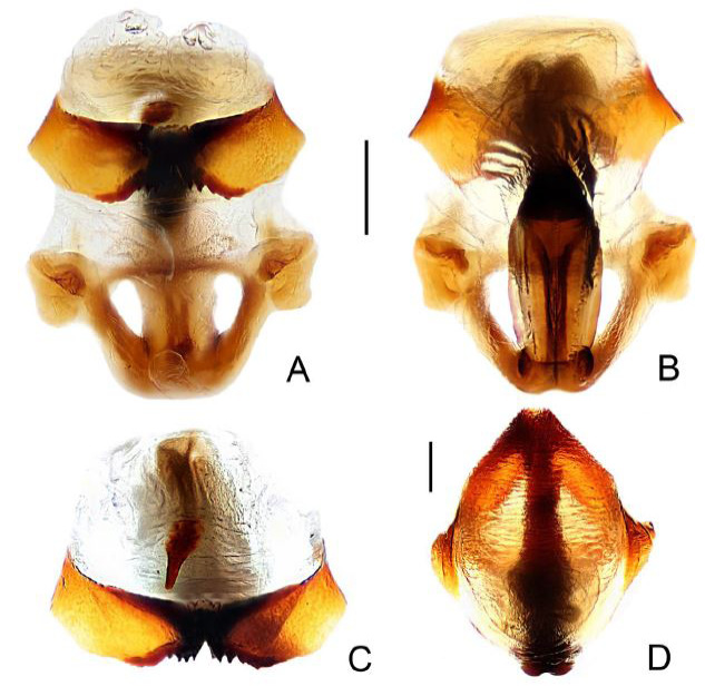 Fig. 17.
