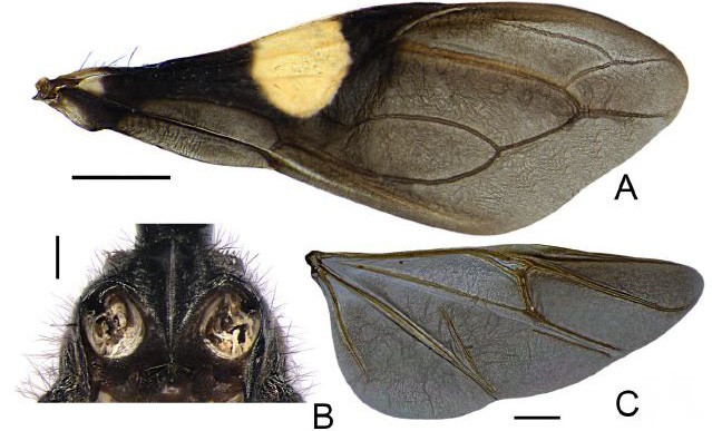 Fig. 14.