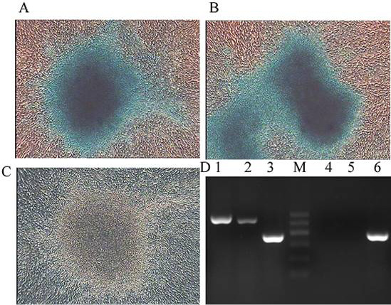 Fig. 6.