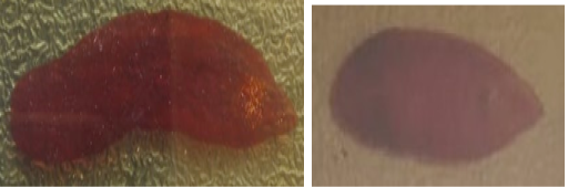 Figure 4B