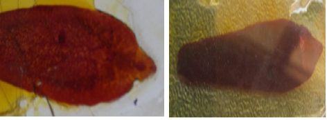 Figure 4A