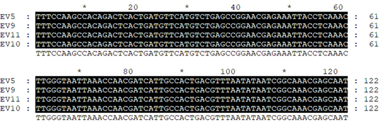 Figure 4: