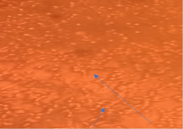Figure 3: