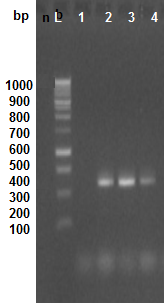 Figure 6: