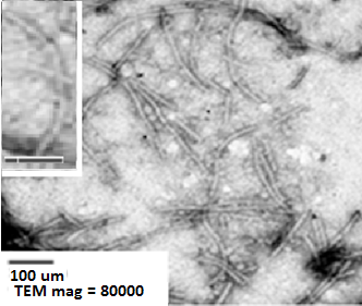 Figure 4: