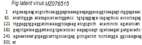 Figure 7: