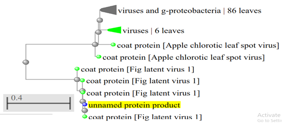 Figure 10: