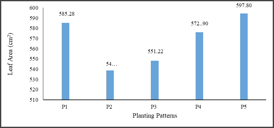 Figure 9: