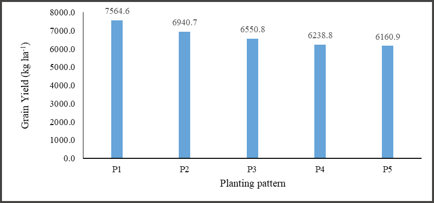 Figure 10: