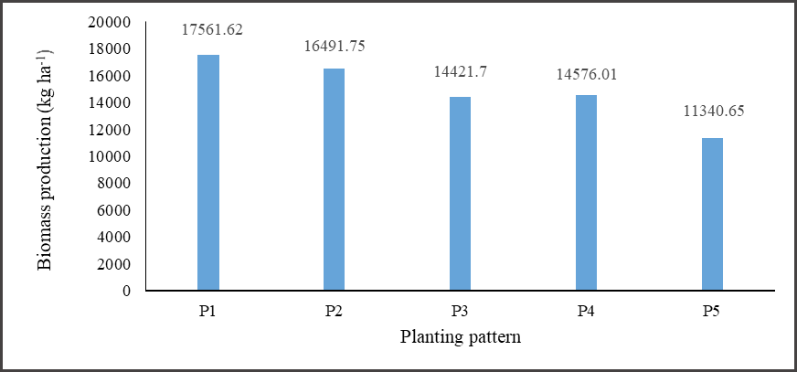 Figure 11: