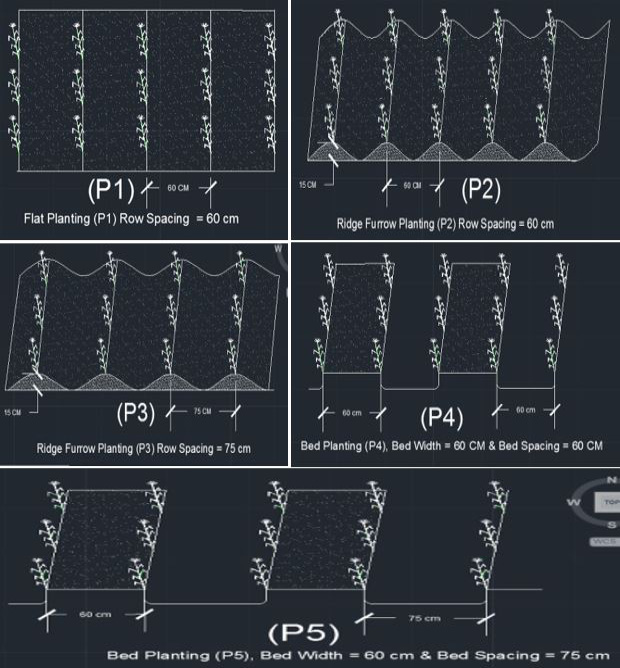 Figure 4: