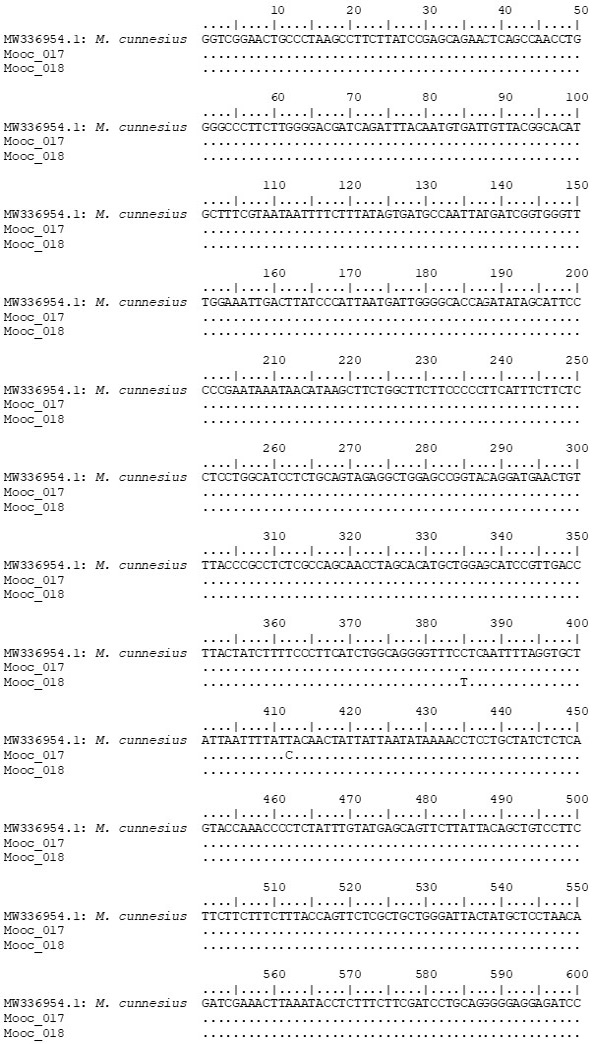 Figure 6: