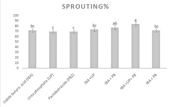 Figure 4: