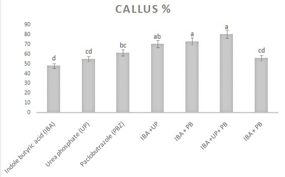 Figure 5: