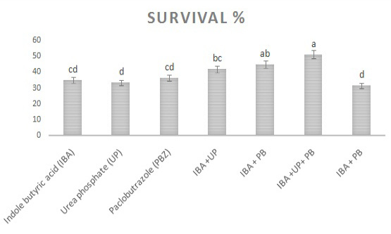 Figure 6: