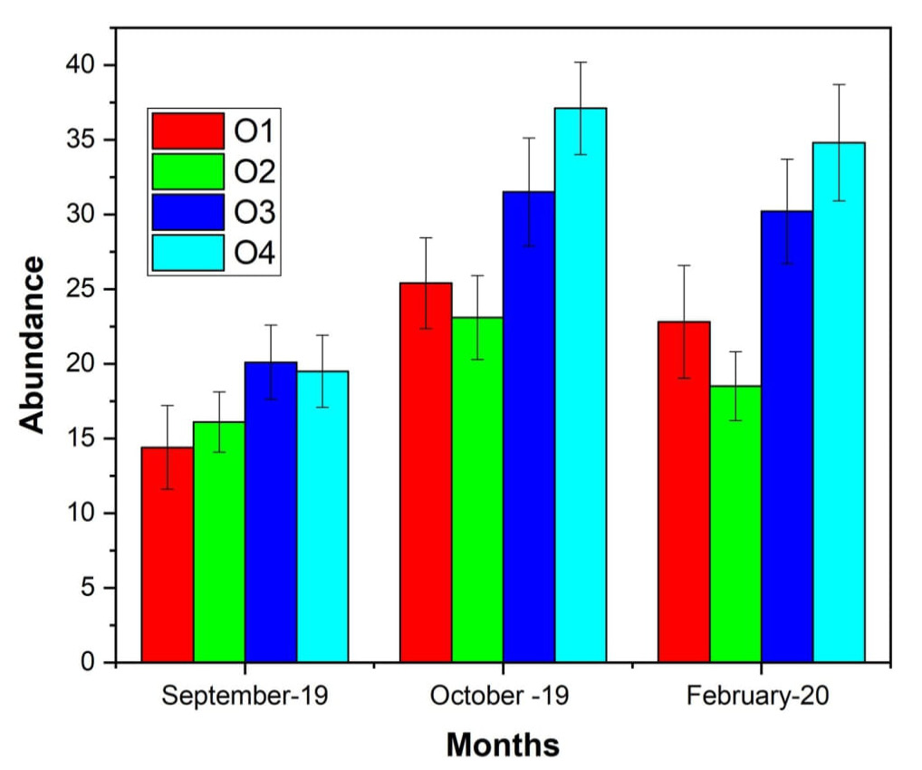 Figure 5: