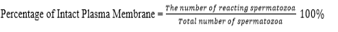 Eq3.PNG