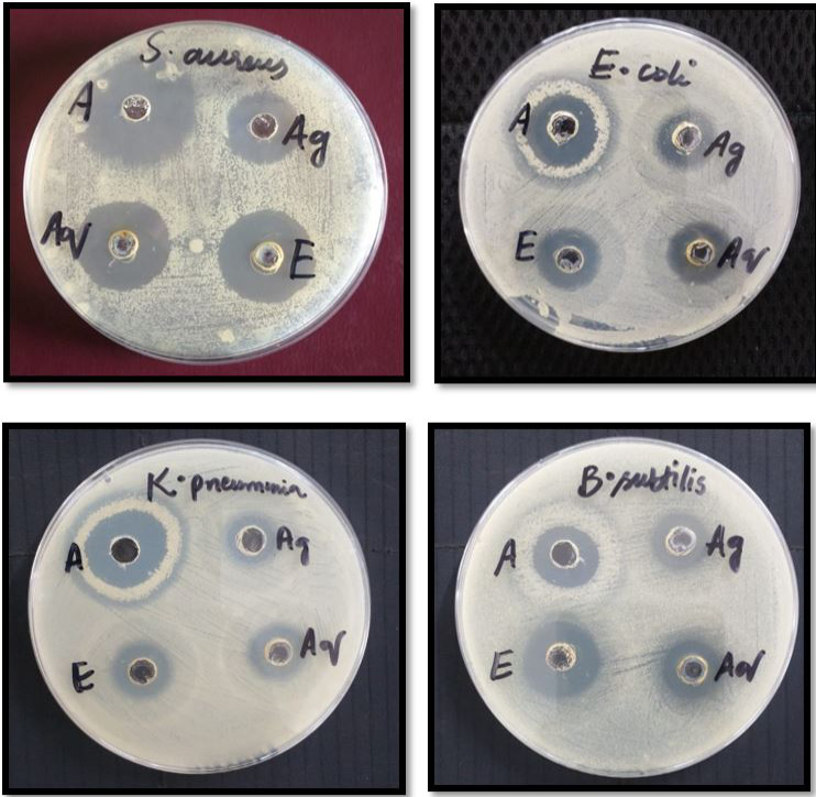 Figure 4: