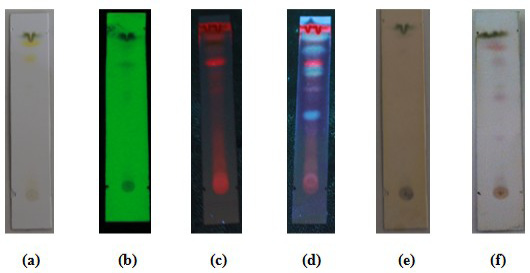 Figure 6: