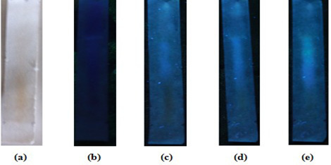 Figure 8: