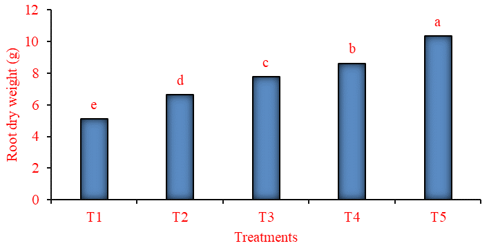 Figure 4: