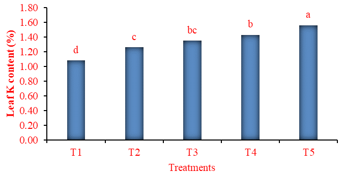 Figure 8: