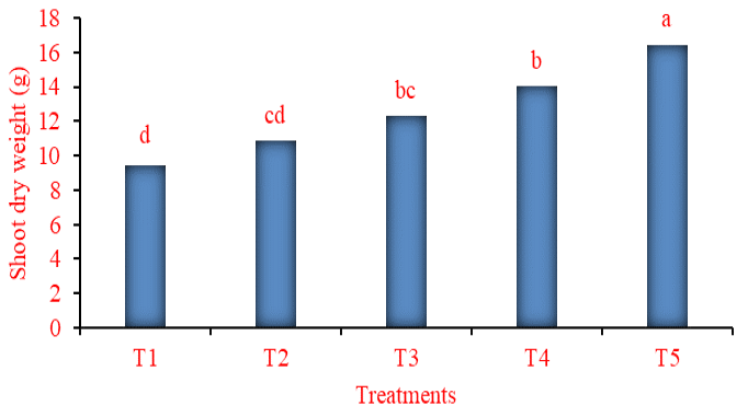 Figure 3: