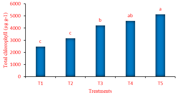 Figure 6: