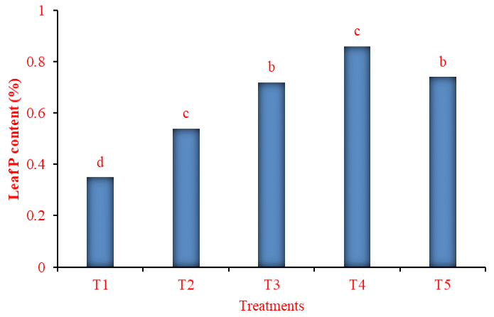 Figure 7: