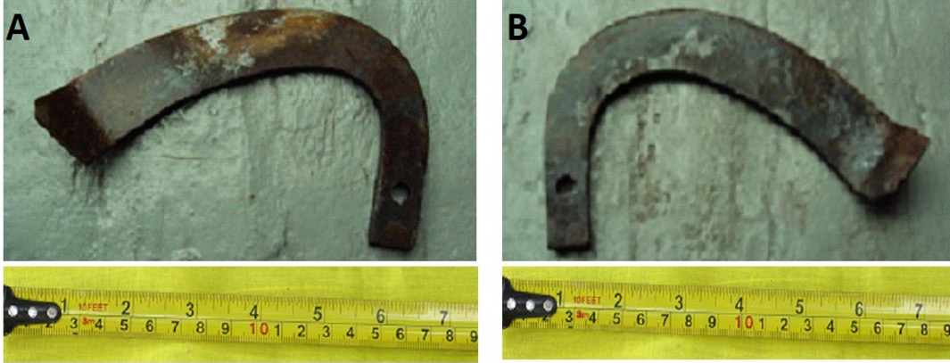 Figure 6: