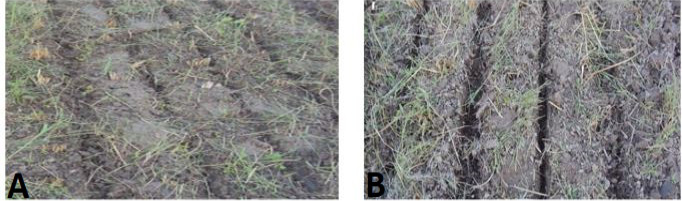 Figure 12: