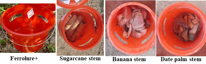 Figure 1: