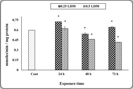 Figure 4: