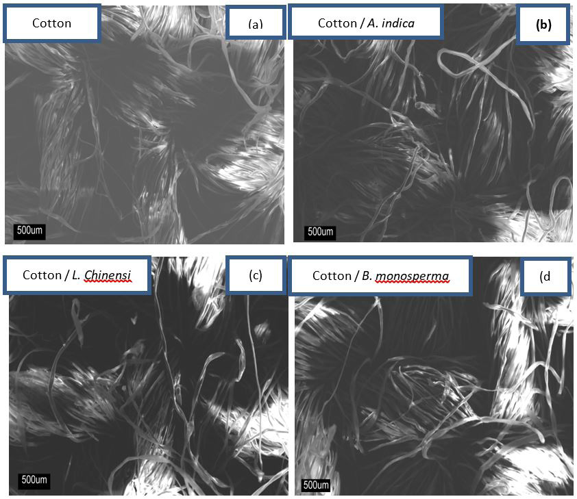 Figure 4:
