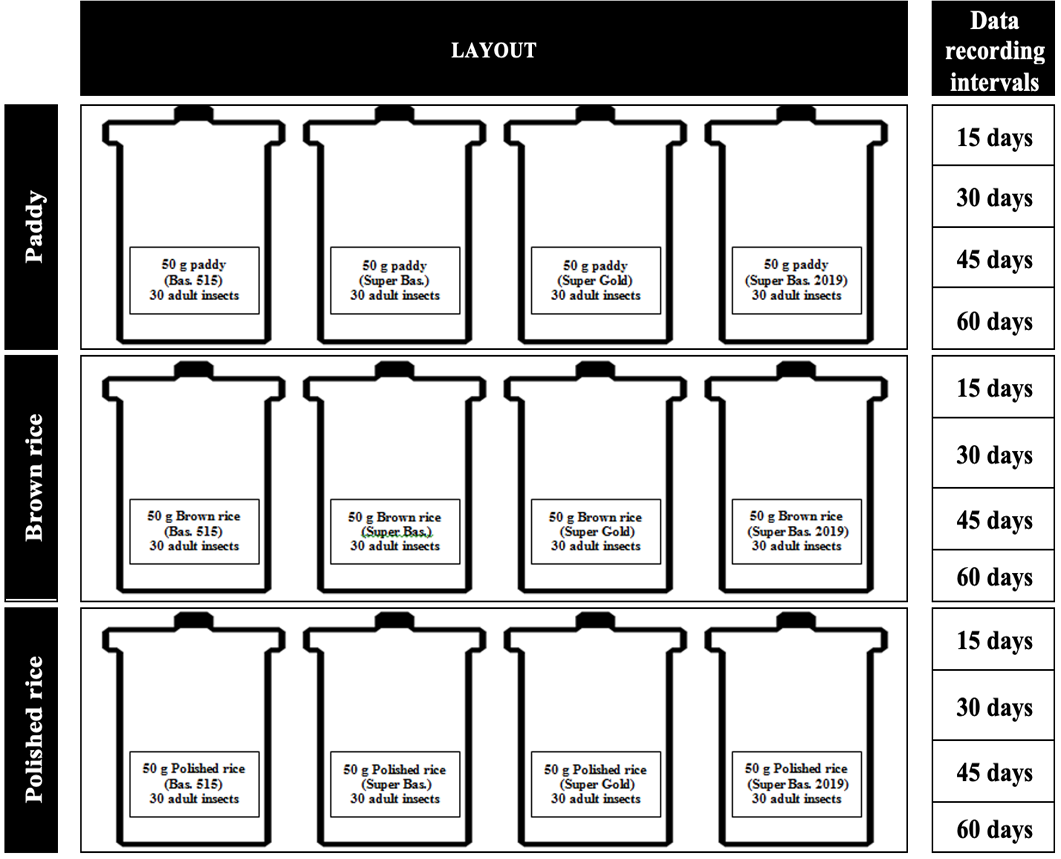 Figure 1: