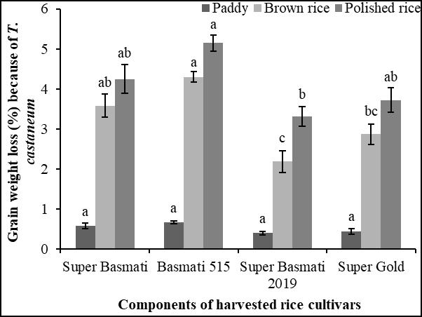 Figure 5: