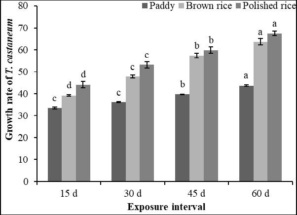 Figure 3: