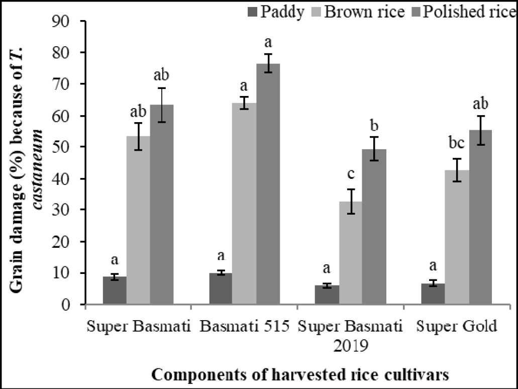 Figure 4: