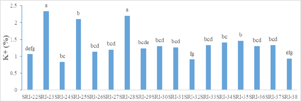 Figure 2: