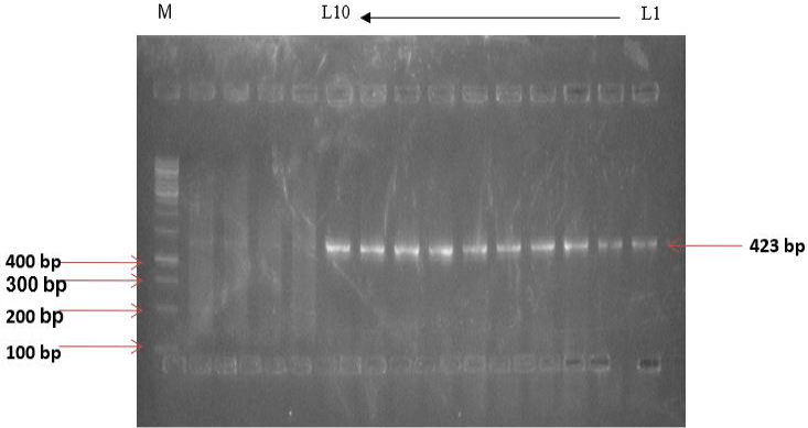 Figure 4: