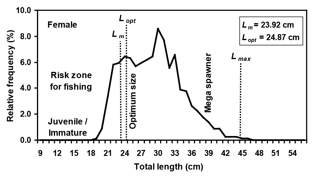 Figure 6: