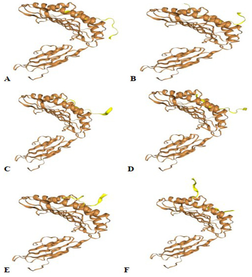 Fig. 4.