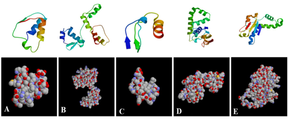 Fig. 4.