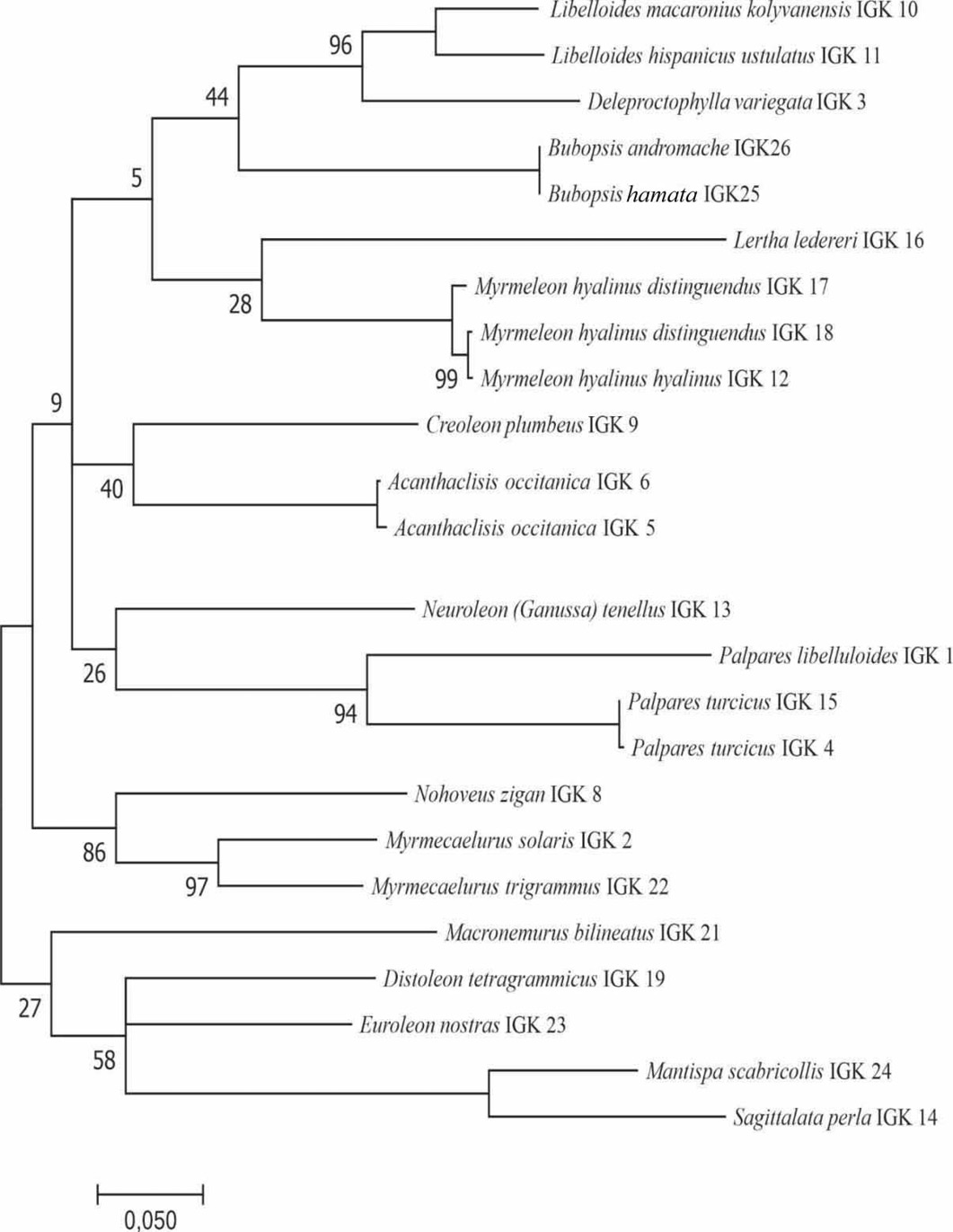 Figure 3: