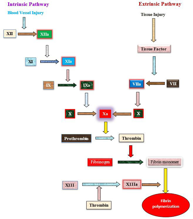 Figure 2: